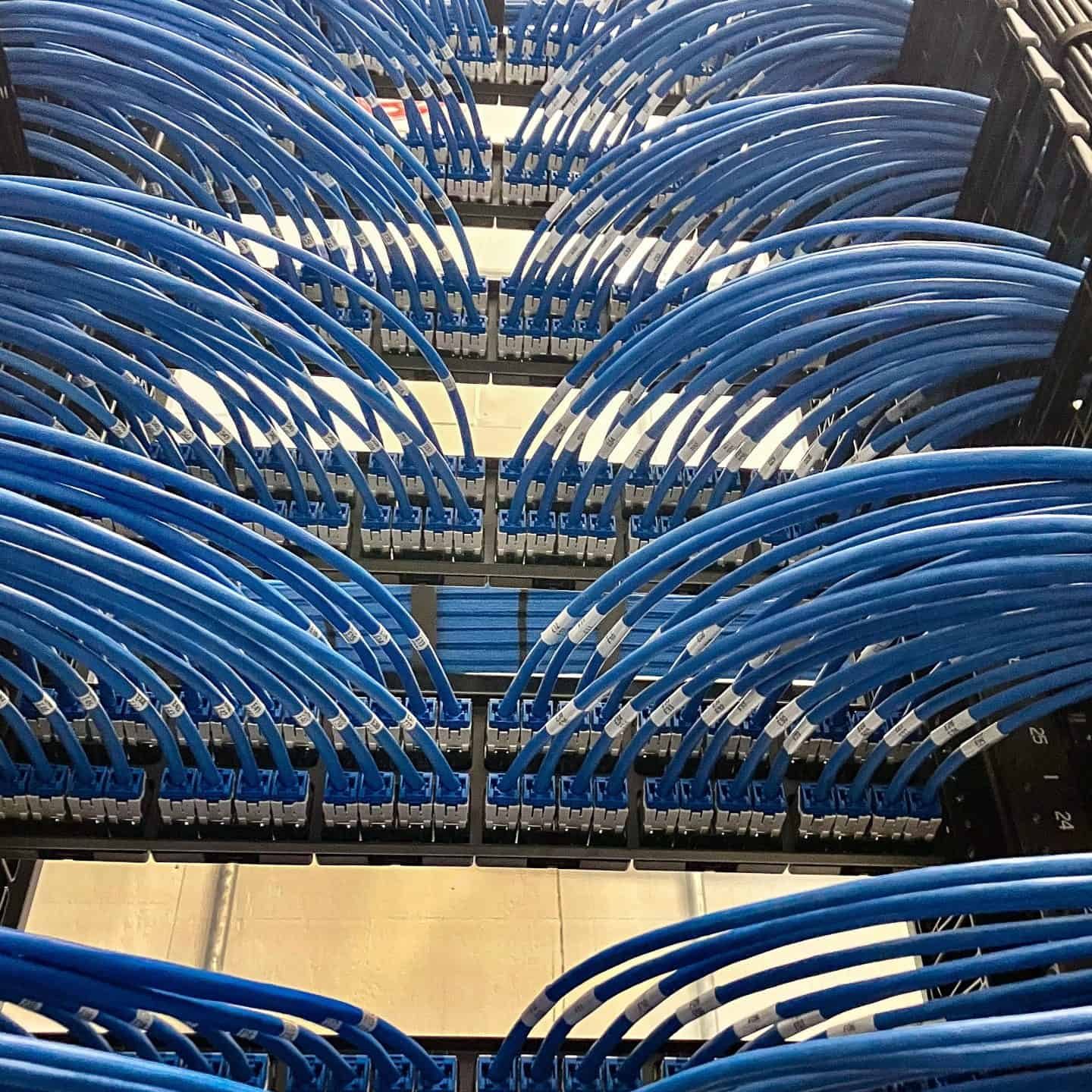 High-quality blue Ethernet cables organized in a server rack for reliable data connectivity.